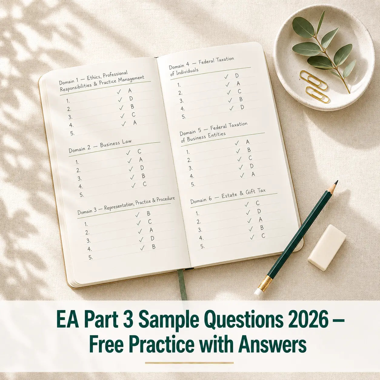 Enrolled Agent Exam Sample Questions: Part 3 Representations – Eduyush