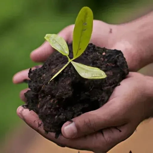 Turning your ESG Plan into Powerful Storytelling: How Companies Can Articulate their ESG Plan Effectively - Eduyush