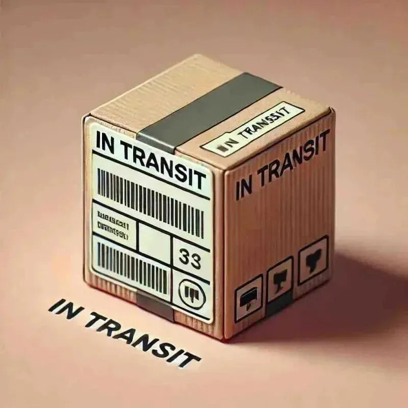 What does in transit mean. 10 Examples and use cases - Eduyush
